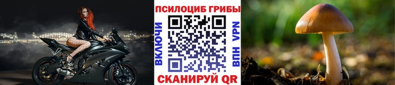 закладки  Черноголовка  Псилоцибиновые грибы GOLDEN TEACHER 