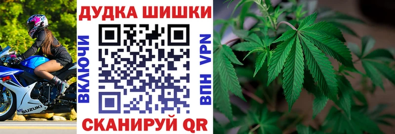 Бошки марихуана планчик  где купить наркоту  Черноголовка 